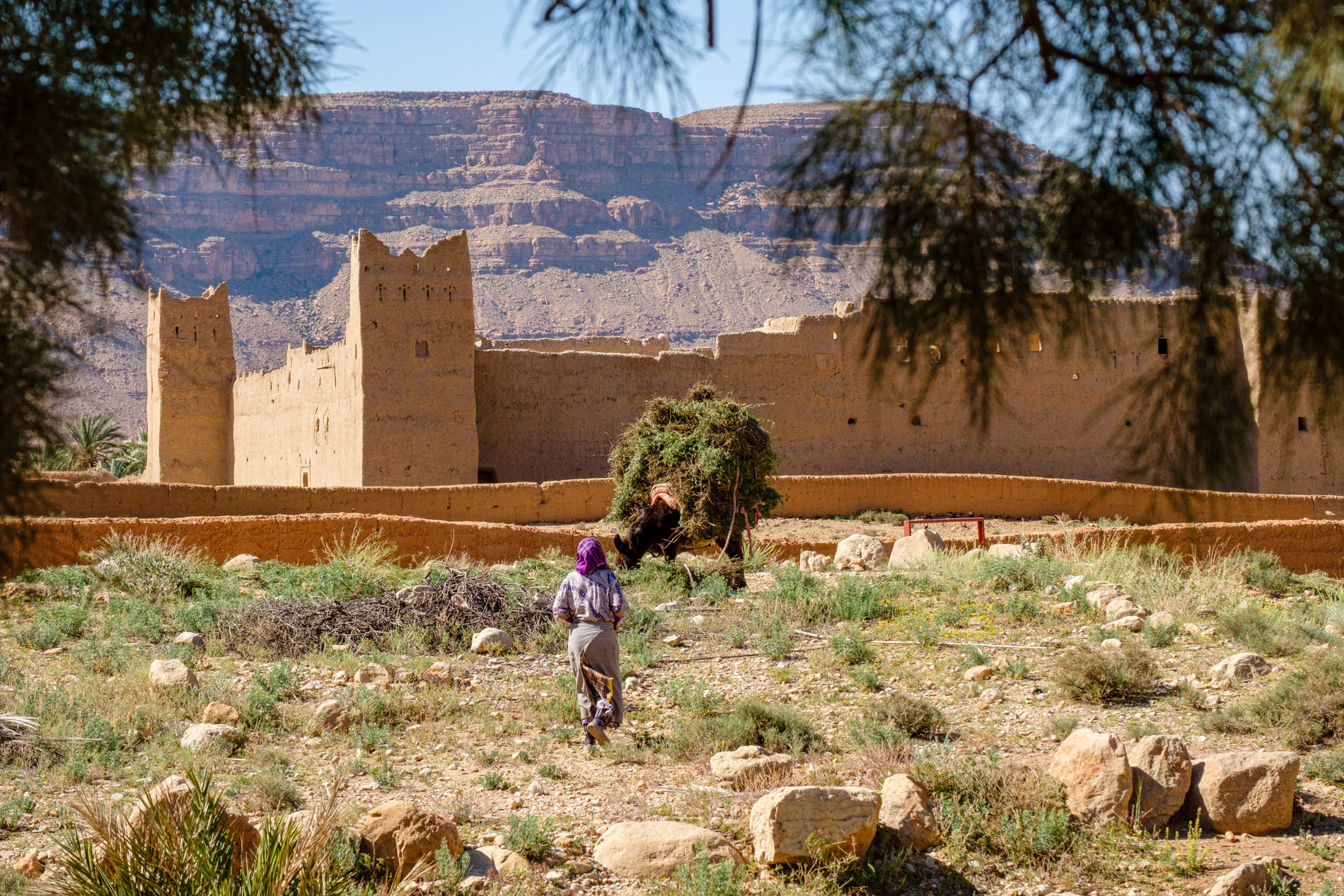 tours maroc voiture