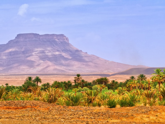 vallee-du-draa-maroc