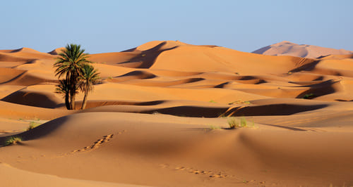 Merzouga